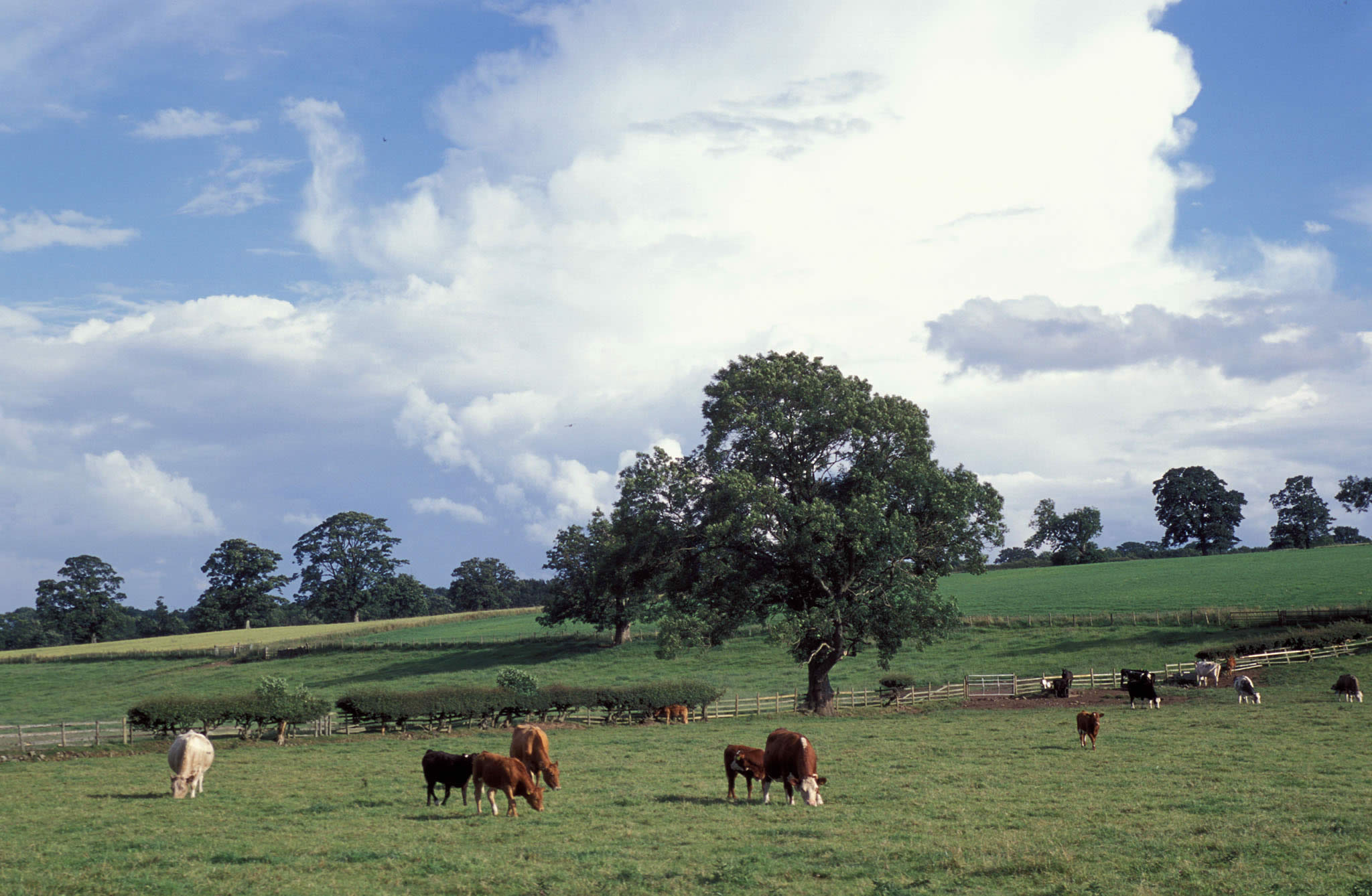 CAP PAYMENTS MUST BE TARGETED AT ACTIVE FARMERS