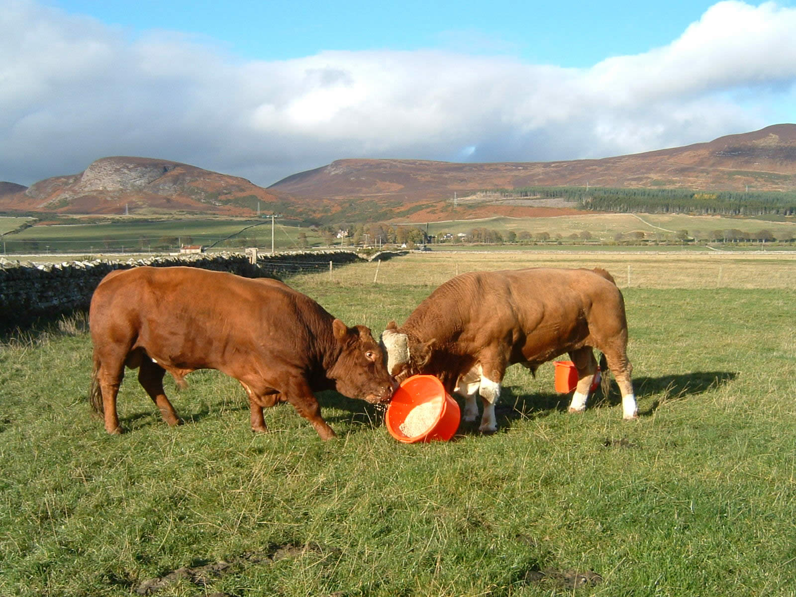 LAND COURT JUSTICE MUST BE MORE ACCESSIBLE TO TENANT FARMERS