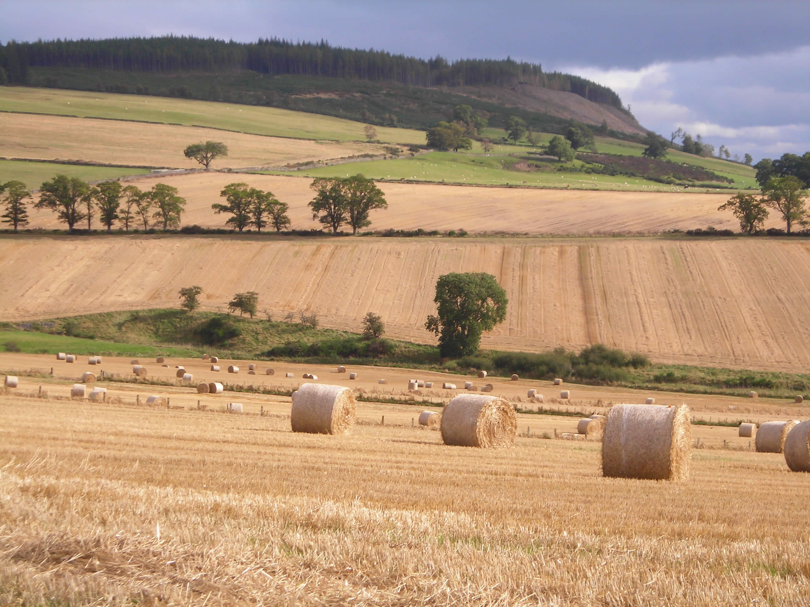 STFA CALLS FOR TENANTED FARMS TO BE EXEMPT FROM CHANGES TO SUCCESSION LAWS