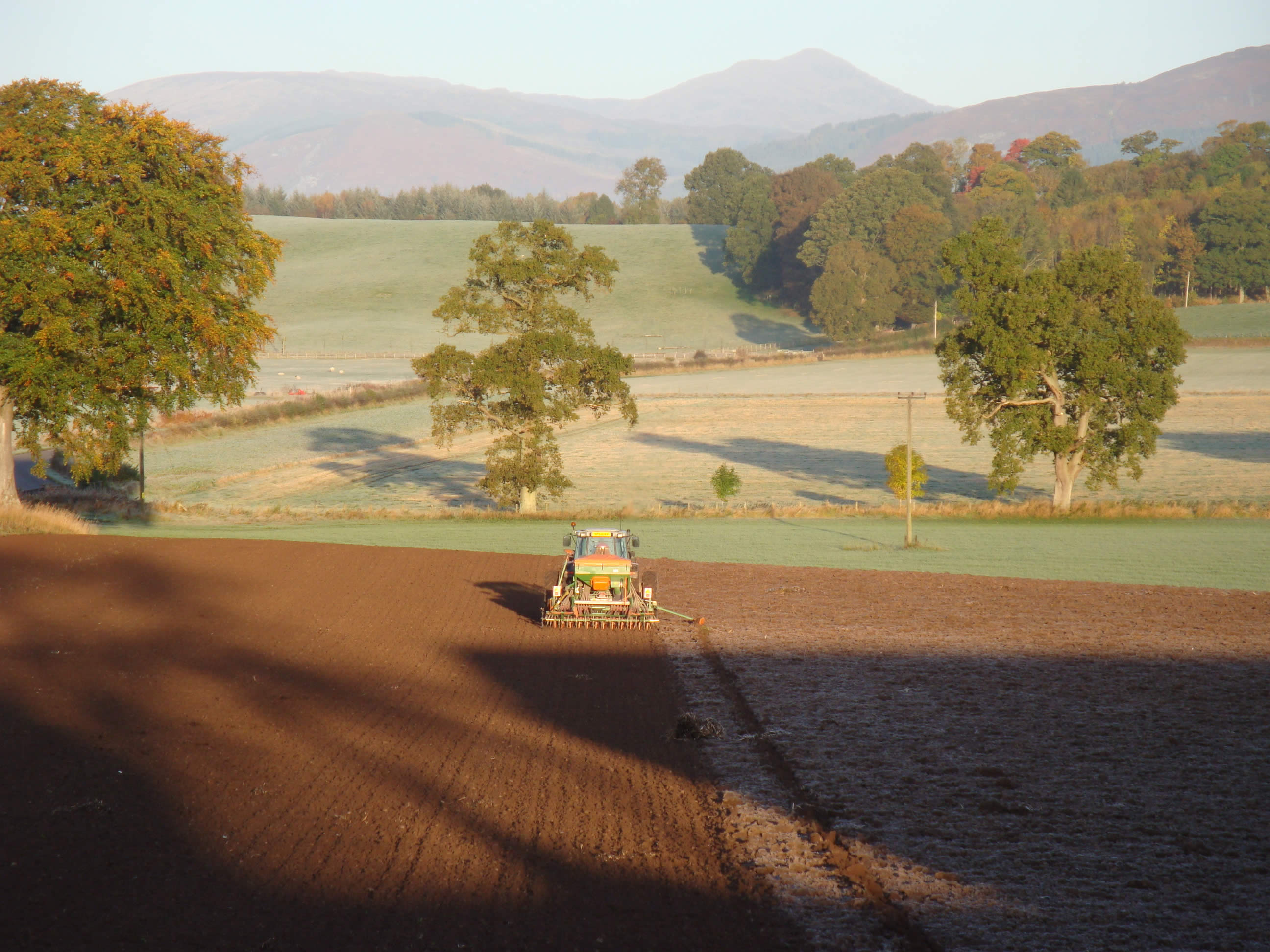 APPOINTMENT OF NEW INTERIM ADVISER ON TENANT FARMING