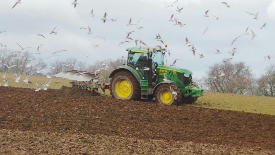 TENANT FARMERS WELCOME TENANCY GROUP REPORT