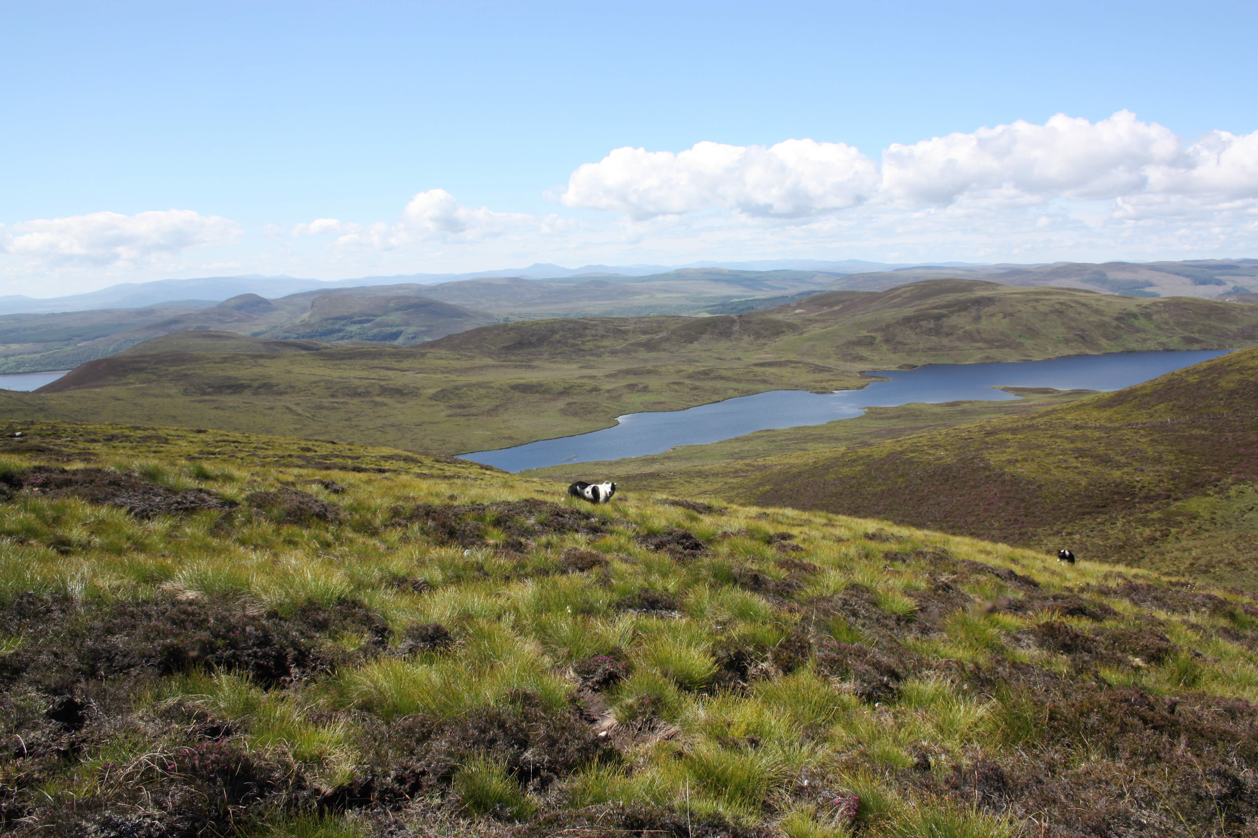 BUCCLEUCH’S SALE OF FARMS TO TENANTS WELCOMED BY STFA