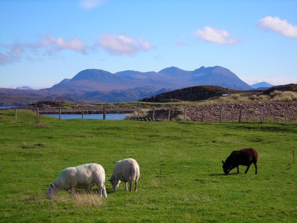 Land and Tenancy Commission key to success of Land Reform Proposals