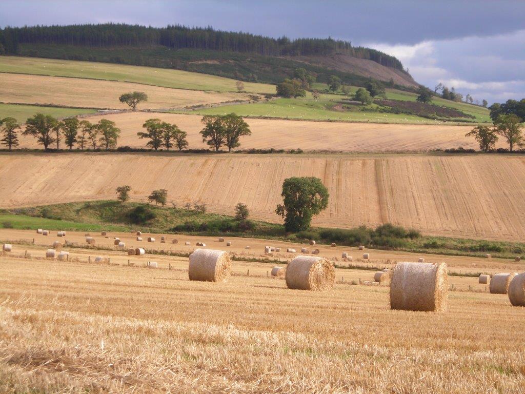 STFA plea to Scottish Government to halt court battle with tenant farmers