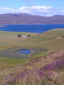 TENANT FARMERS MUST NOT BE LEFT BEHIND IN FUTURE POLICY CHANGES